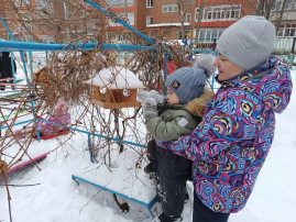 КОРМИМ ПТИЦ ЗИМОЙ КОРМИМ ПТИЦ ЗИМОЙ.