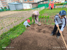 ВЕСЕННИЕ ПОСАДКИ НА ОГОРОДЕ ВЕСЕННИЕ ПОСАДКИ НА ОГОРОДЕ.