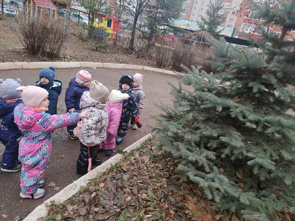 НАБЛЮДЕНИЕ ЗА ЕЛОЧКОЙ НАБЛЮДЕНИЕ ЗА ЕЛОЧКОЙ.