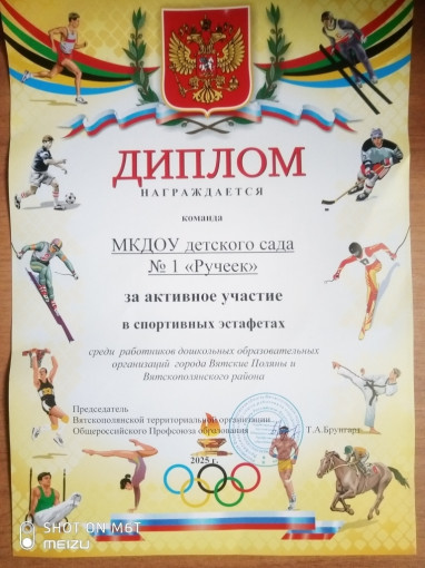 ВЕСЕЛЫЕ СТАРТЫ ВЕСЕЛЫЕ СТАРТЫ.